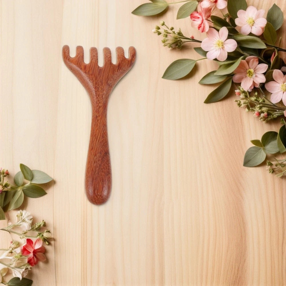 3 Pcs Massage Rake Hair Comb Manual Scalp Massagers Back Scratcher