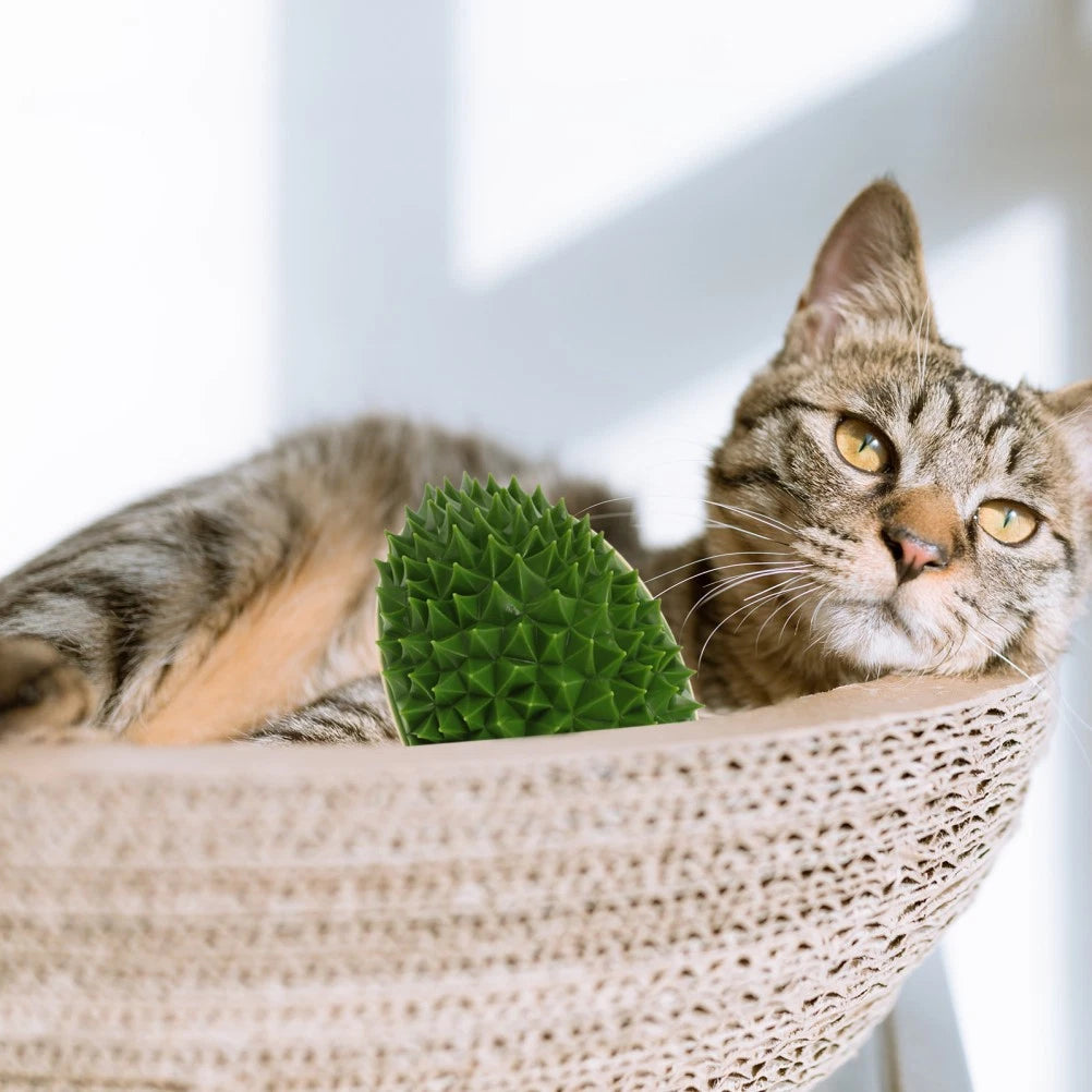 Cat Toy Cat Wall Self Tickling Toy Cat Massaging Comb Cat Scratcher Toy