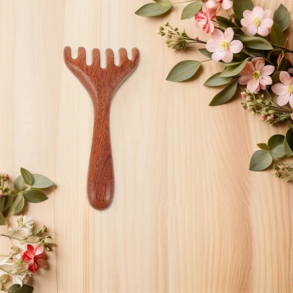 3 Pcs Massage Rake Hair Comb Manual Scalp Massagers Back Scratcher