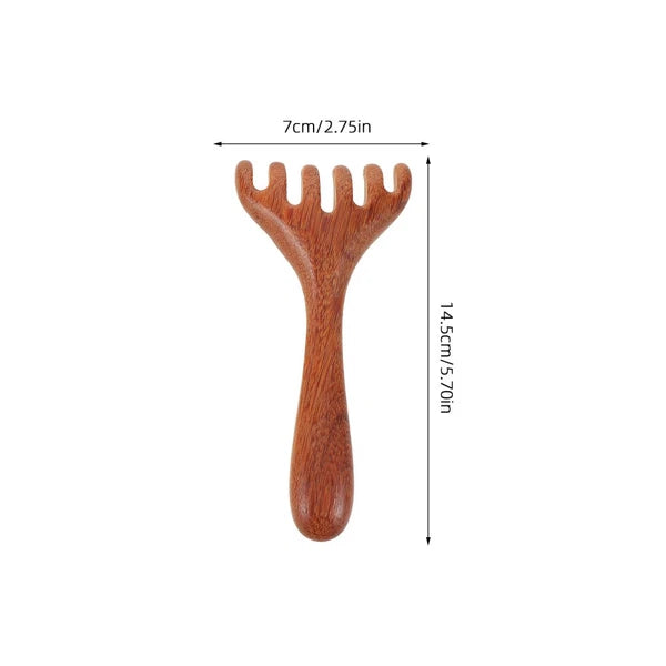 3 Pcs Massage Rake Hair Comb Manual Scalp Massagers Back Scratcher