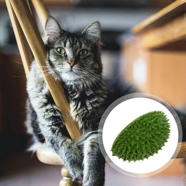 Cat Toy Cat Wall Self Tickling Toy Cat Massaging Comb Cat Scratcher Toy