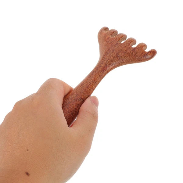 3 Pcs Massage Rake Hair Comb Manual Scalp Massagers Back Scratcher