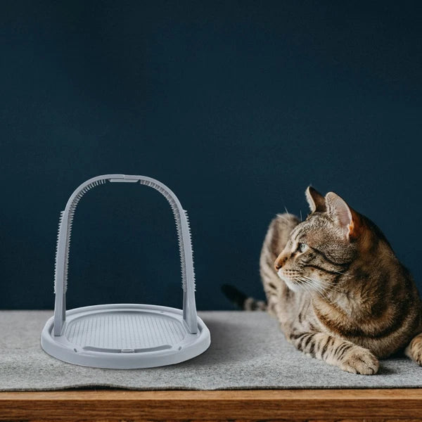 Arched Wool Rubbing Device Cat Self Grooming Scratcher Massager for Cats