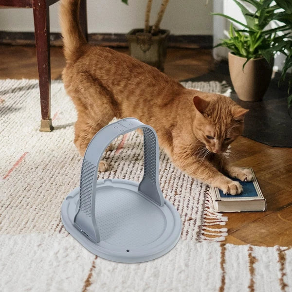 Arched Wool Rubbing Device Cat Self Grooming Scratcher Massager for Cats
