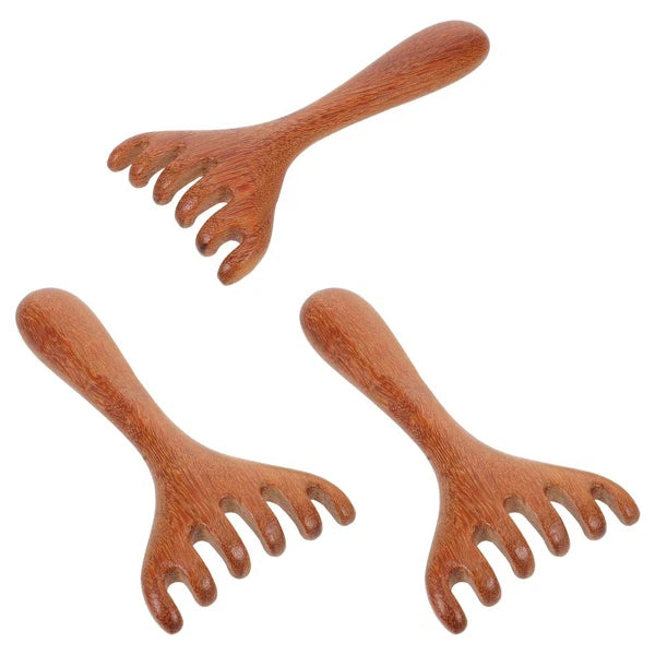 3 Pcs Massage Rake Hair Comb Manual Scalp Massagers Back Scratcher
